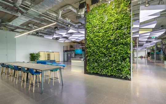 Case Study - Plexal 06