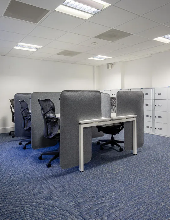 Case Study - Global 11