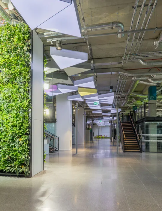 Case Study - Plexal 01
